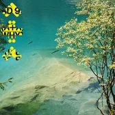 Фото исполнителя Arunakub