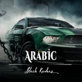 Фото исполнителя Black Kavkaz