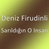 Фото исполнителя Deniz Firudinli