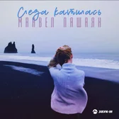 Фото исполнителя Манвел Пашаян