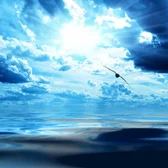 Фото исполнителя Reyane