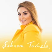 Фото исполнителя Sebnem Tovuzlu
