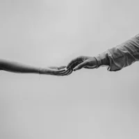 Фото песни Dado-Nado от Dado