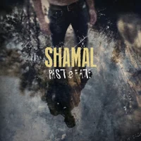 Фото песни Farqi yoq от ShamAl