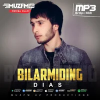 Фото песни Bilarmiding от Dias