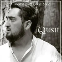 Фото песни Qushim (Daydi qizning daftari Soundtrack) от Nodir Ibrohimov