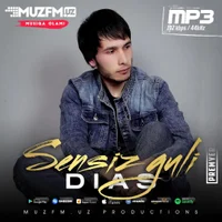 Фото песни Sensiz Guli от Dias