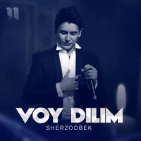 Фото песни Voy dilim от Sherzodbek