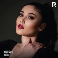 Фото песни Iloji yo`q от Noila