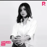 Фото песни Yondi yurak от Aida