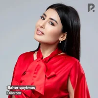 Фото песни Bahor qaytmas от Dilorom