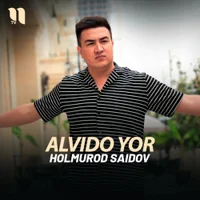 Фото песни Alvido yor от Holmurod Saidov