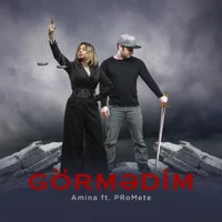 Фото песни Görmədim от Amina, PRoMete