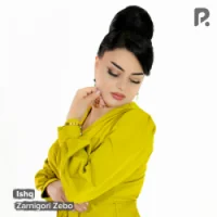 Фото песни Ishq от Zarnigori Zebo