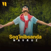 Фото песни Sog’inibsanda от Navruz