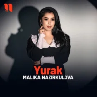 Фото песни Yurak от Malika Nazirkulova