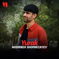 Фото песни Yurak от Nodirbek Shomirzayev