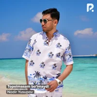 Фото песни Topolmasam bo'lmaydi от Nodir Yusupov