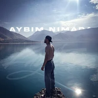 Фото песни Aybim nimada от FayZee