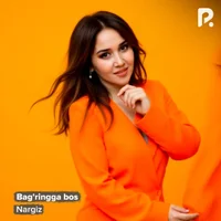 Фото песни Bag'ringga bos от Nargiz