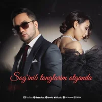 Фото песни Sog'inib от Dilnoz, Shohrux (Ummon)