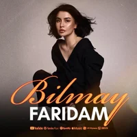 Фото песни Bilmay от Faridam