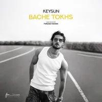 Фото песни Bache Tokhs от Keysun