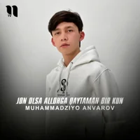 Фото песни Jon olsa Allohga qaytaman bir kun от Muhammadziyo Anvarov