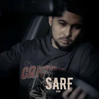 Фото песни Sarf от Dior