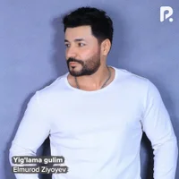 Фото песни Yig'lama gulim от Elmurod Ziyoyev