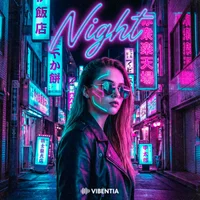 Фото песни Night от Vibentia