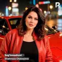 Фото песни Sog'inmadizmi от Shahnoza Otaboyeva
