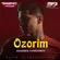 Ozorim - Обложка песни
