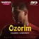 Ozorim - Обложка песни