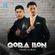 Qora ilon - Обложка песни