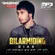 Bilarmiding - Обложка песни