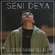 Seni deya - Обложка песни