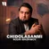 Chidolasanmi - Обложка песни