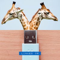 Kemal — Sevgimizga Qarshi