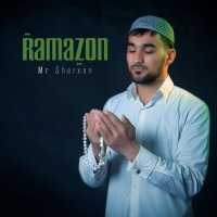 Mr Sherxon — Metanbek (parodiya)