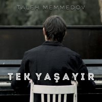 Taleh Memmedov — Senden Ayrılanda (Elsen Pro)
