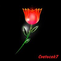 Cvetocek7 — Седая ночь