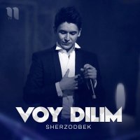 Sherzodbek — Voy dilim Bechora dilim