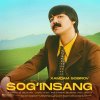 Xamdam Sobirov - Sog'insang mp3