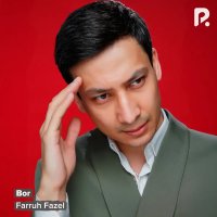 Farruh Fazel — Bor o'shalarga bor agar sevsa seni
