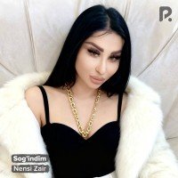 Nensi Zair — Sog'indim