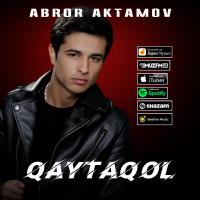 Abror Aktamov - Qaytaqol