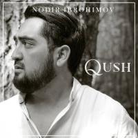 Nodir Ibrohimov - Qushim (Daydi qizning daftari Soundtrack)