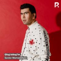 Sardor Mamadaliyev - Qizg’aldog’im