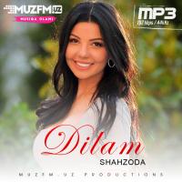 Shahzoda - Dilam